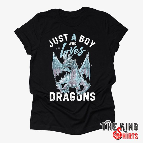 just a boy who loves cool dragon t-shirt