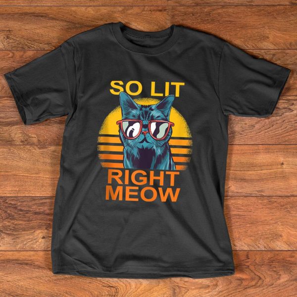so lit right meow edm techno dj rave party festival cat t-shirt