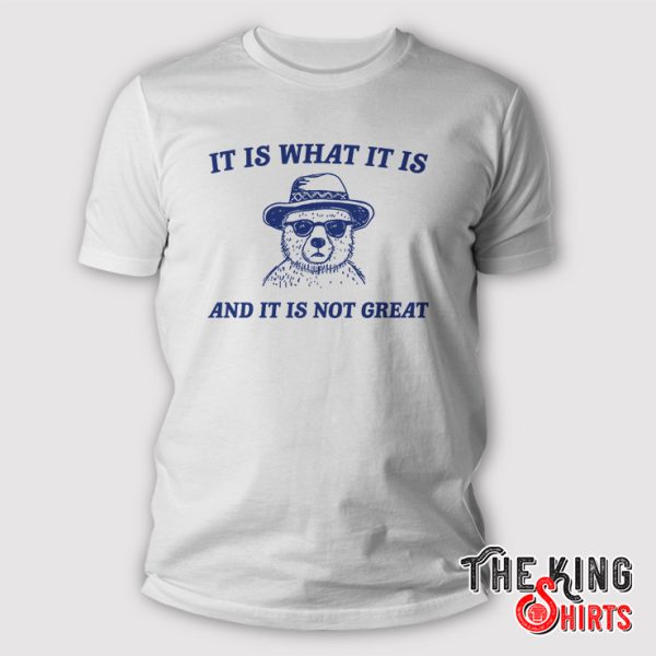 It Is What It Is And It Is Not Great shirt